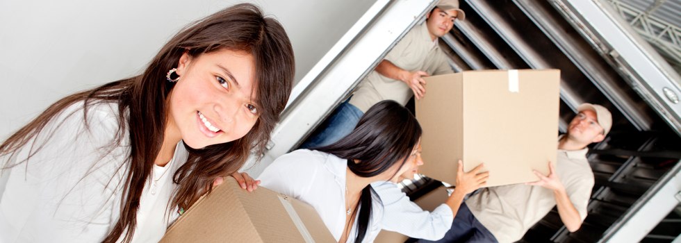 Professional Removalists Jancourt East